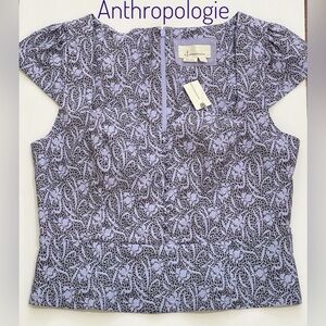 Anthropologie Cecily Fit & Flare Sweetheart top Size L
